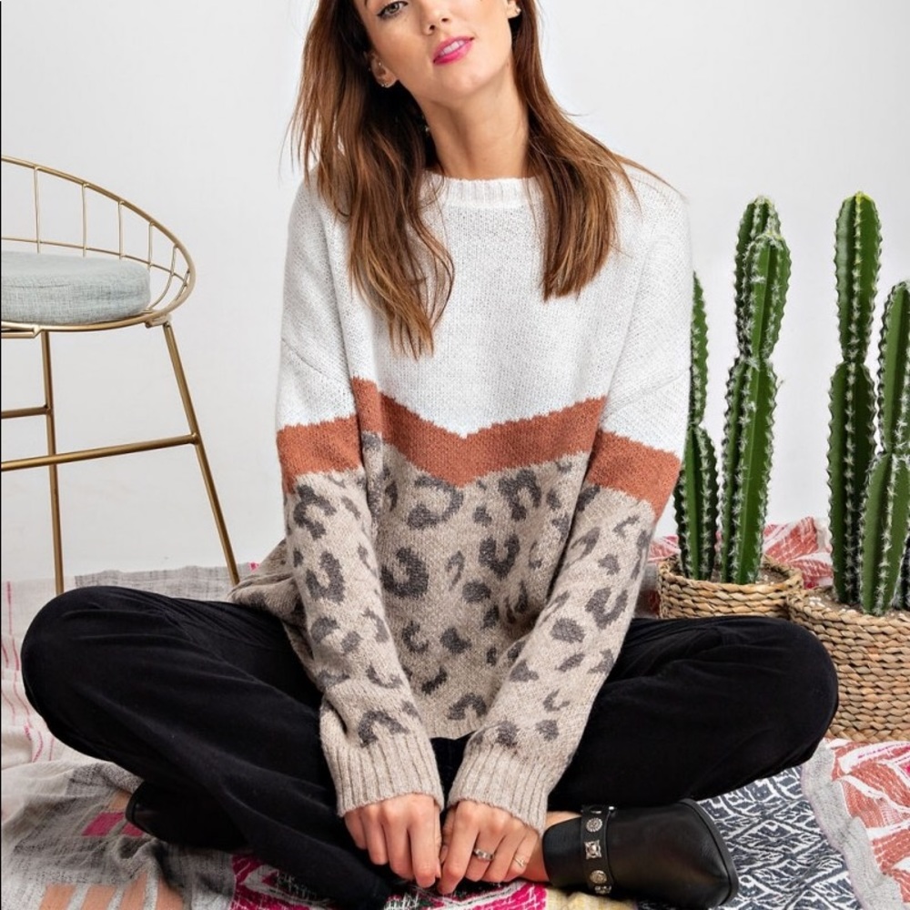 Make Offer🌷Mushroom Chevron Leopard Print Sweater - Picture 3 of 5